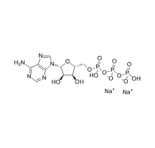 Sal de adenosina 5 '-trifosfato disódico CAS 987-65-5