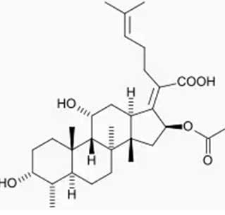 Ambroxol clorhidrato CAS 23828-92-4