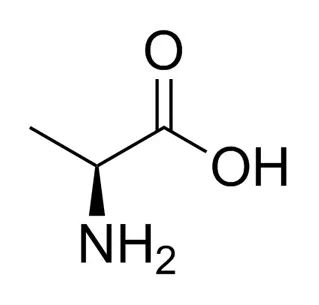 L-alanina CAS 56-41-7