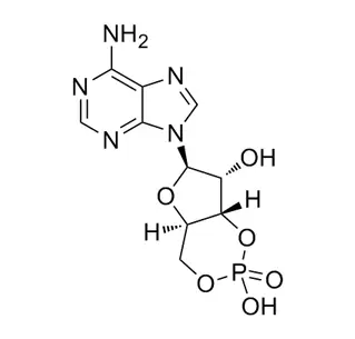 Ciclfosfato de adenosina CAS 60-92-4