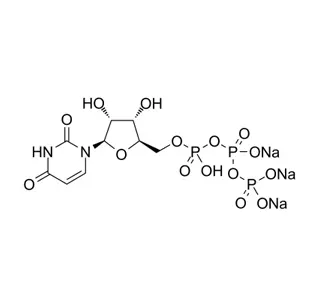Sal trisodio Uridine-5-triphosphoricAcid CAS 19817-92-6