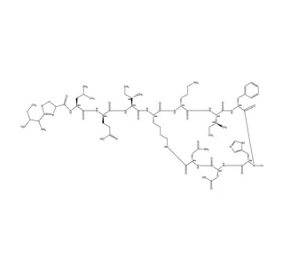 Bacitracina CAS 1405-87-4