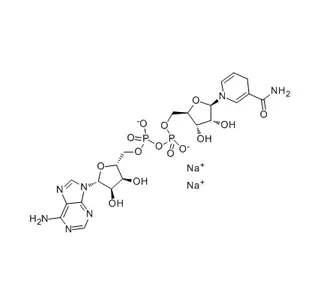 Beta-nicotinamida adenina dinucleótido sal disódica forma reducida (NADH) CAS 606-68-8