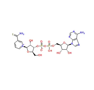 Beta-tionicotinamida adenina dinucleótido (tio-nad) CAS 4090-29-3