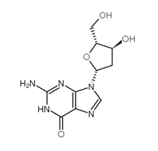 2 '-Monohidrato de desoxiguanosina 312693 CAS-72-4