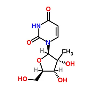 2 '-c-metiluridina CAS 31448-54-1