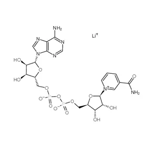 Beta-nicotinamida adenina dinucleótido sal de litio (NAD Li) CAS 64417-72-7
