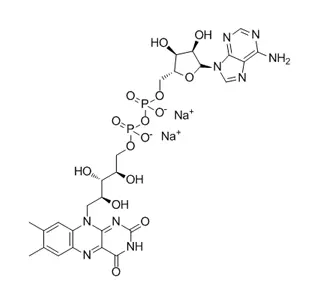 Flavina adenina dinucleótido sal disódica (FAD-2Na) CAS 84366-81-4