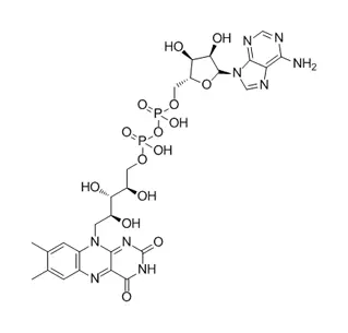 Flavina adenina dinucleótido CAS 146-14-5