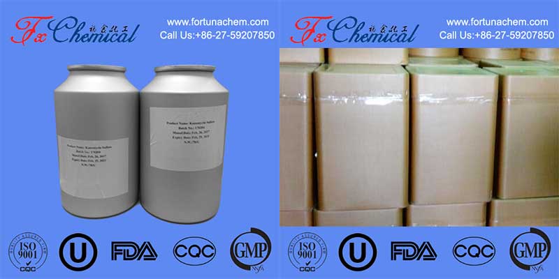 Embalaje de clorhidrato de Ceftiofur Cas 103980