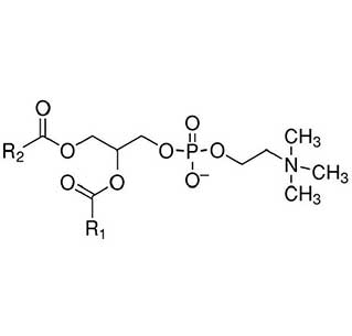 Fenbendazol CAS 43210-67-9