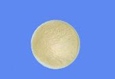 4,4 '-metileno bis(2-chloroaniline) CAS 101-14-4
