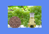 Aceite de semilla de uva 8024