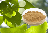 El extracto de Ginkgo Biloba CAS 90045-36-6