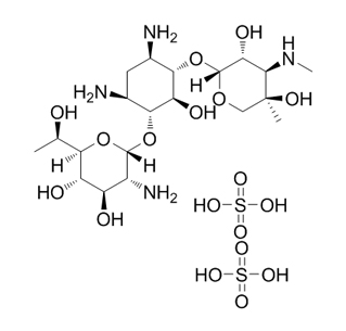 Geneticina/sulfato G418 CAS 108321-42-2