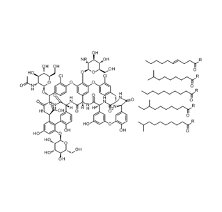 Teoplanina CAS 61036-62-2